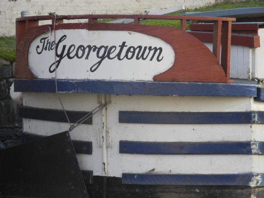 The Georgetown Canal Boatt