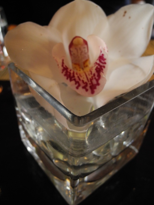 A Orchid in a square glass vase.