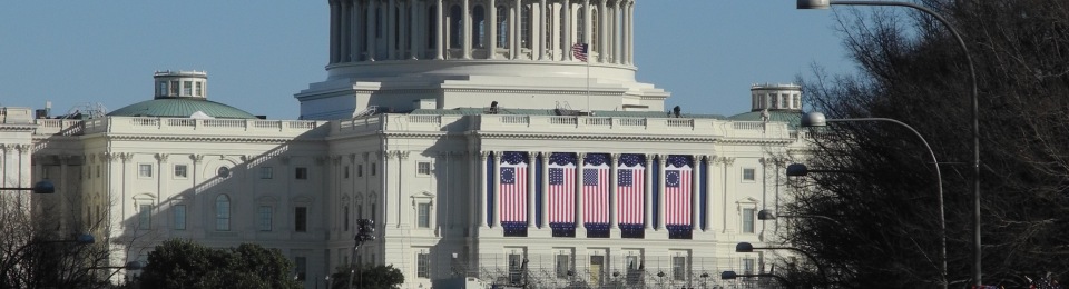 Flags on the Capitol